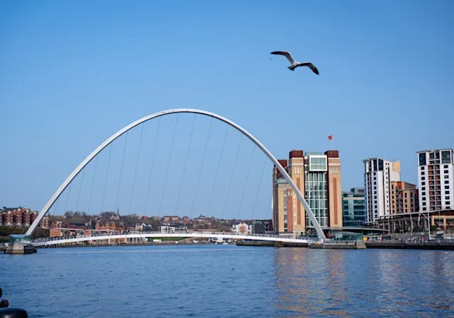 Quayside Tours at BALTIC Centre for Contemporary Art