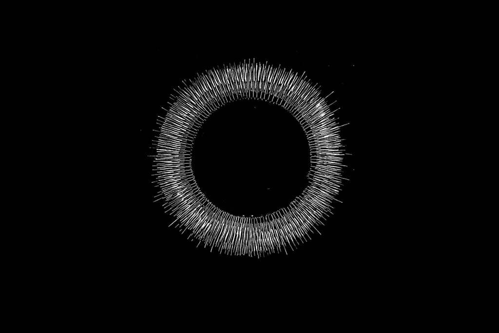 DRUIM Volume I at St. Brigid's Church