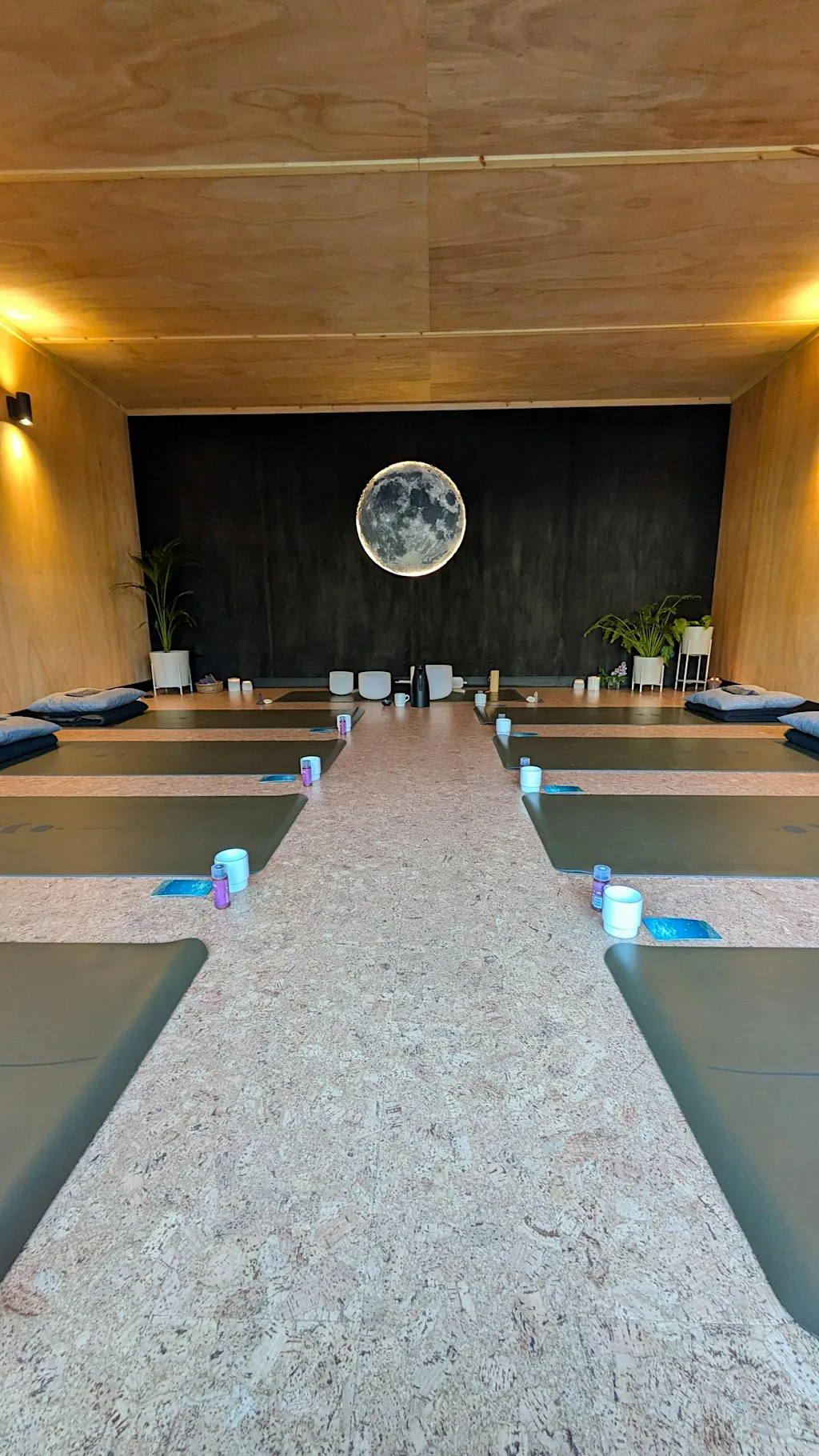 Mugwort + Soundbath Dream Workshop
