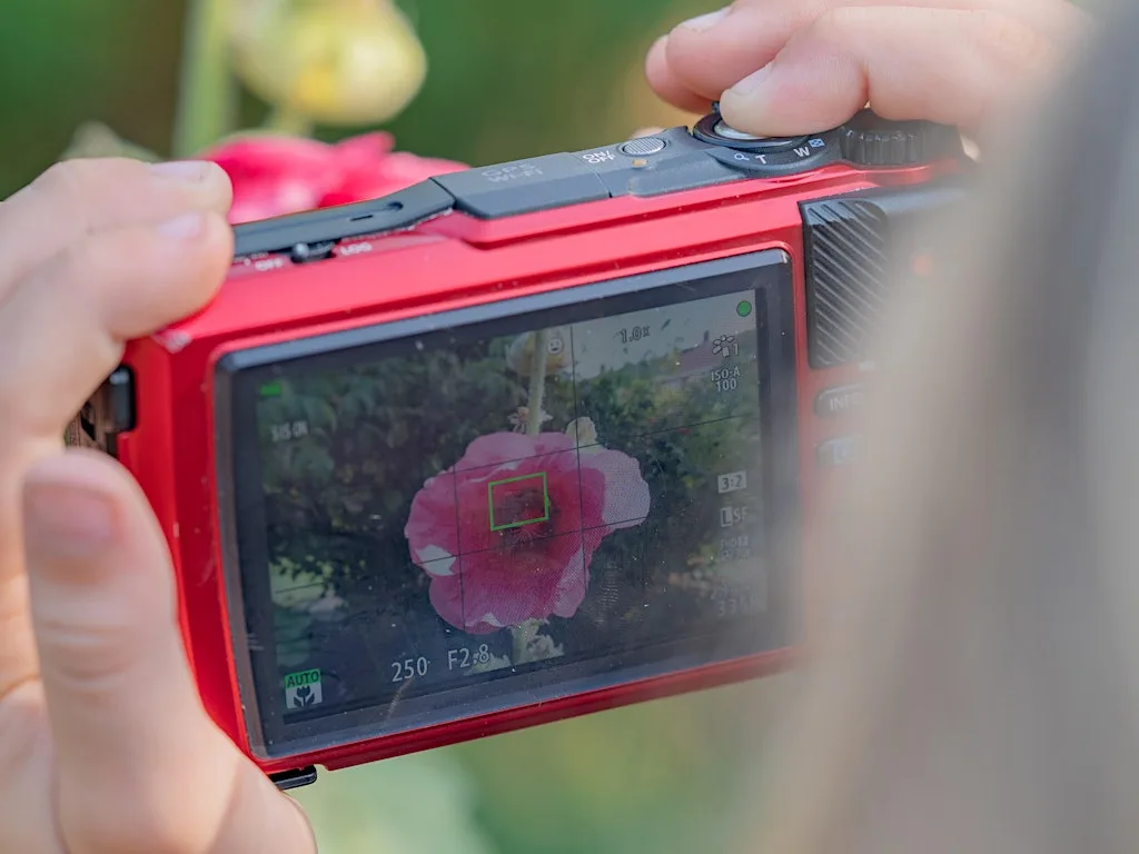 Children's Summer Photography Workshop at The Plantation Garden