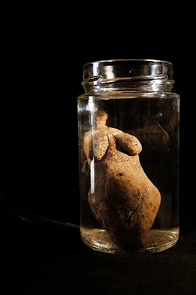 Kino-tours presents: Venus Figurines of Pelješac