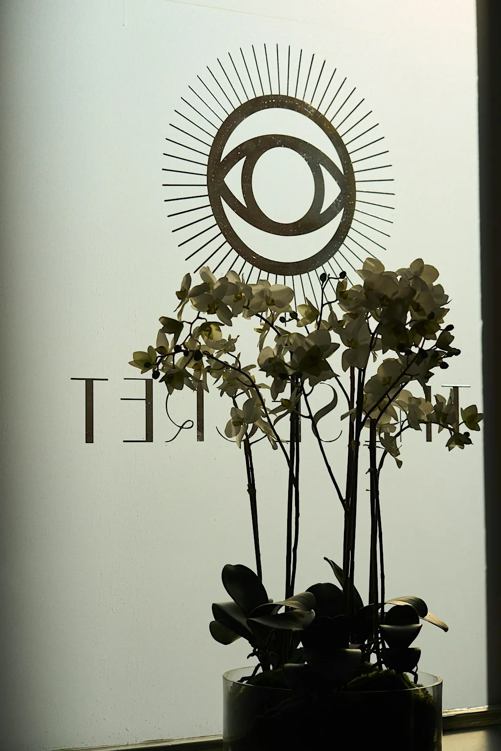 THE SECRET X H BEAUTY - THE ULTIMATE TREATMENTS FOR HAIR REVEALED