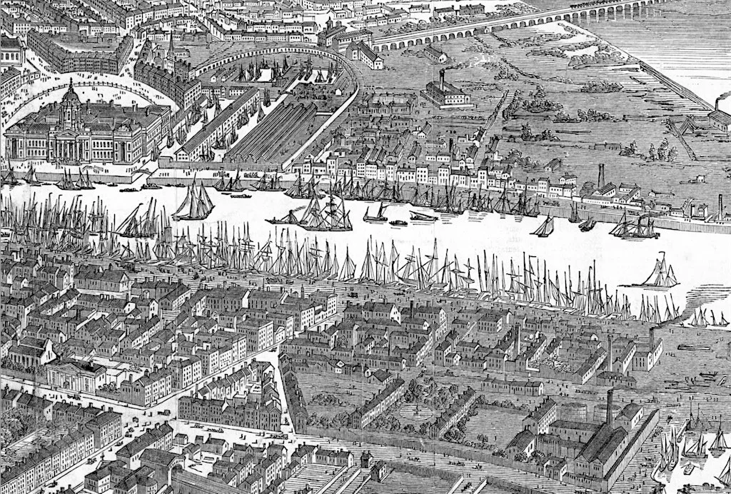 Steamships, Famine, Cattle, and the Transformation of Dublin Port 1820-1860 at Rathfarnham Castle
