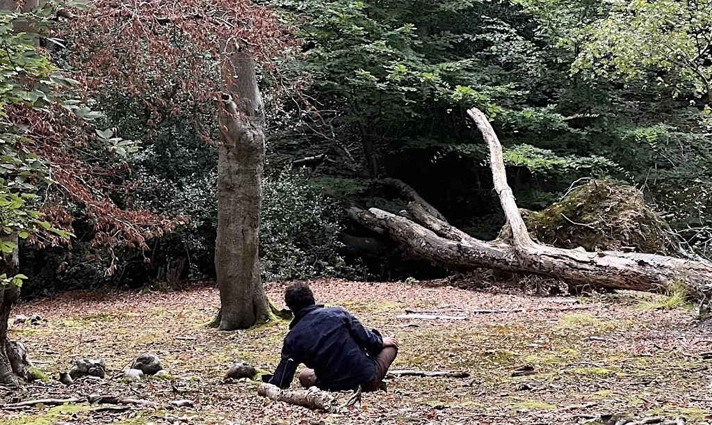 Kinship Workshop: Arriving In Body, Arriving In Landscape at Epping Forest