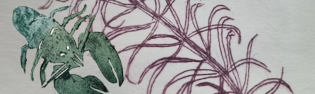 Naze linocut printmaking - sea creatures at The Naze Nature Discovery Centre