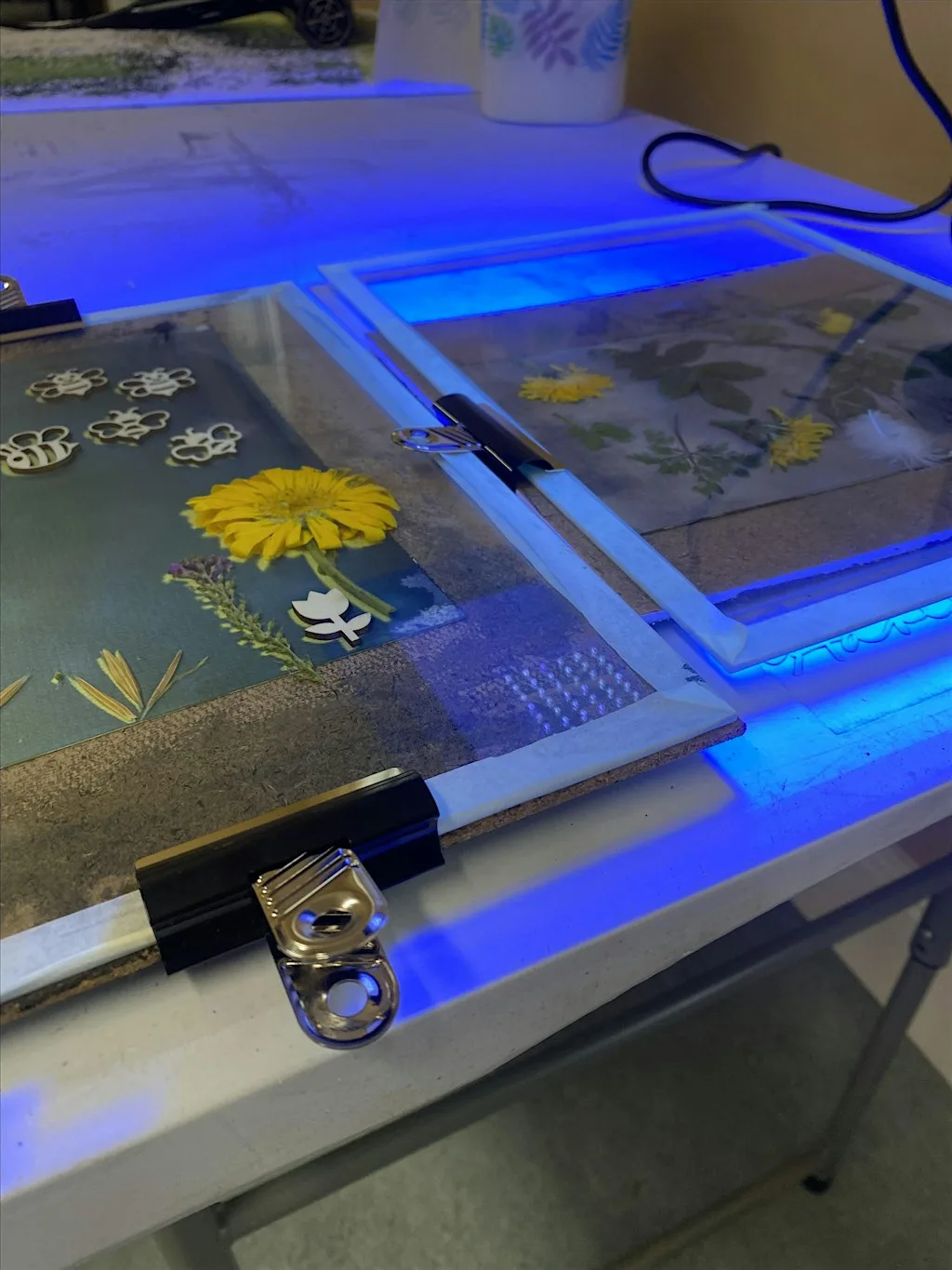 Print Making (for Juniors!) at Severn Gorge Countryside Trust