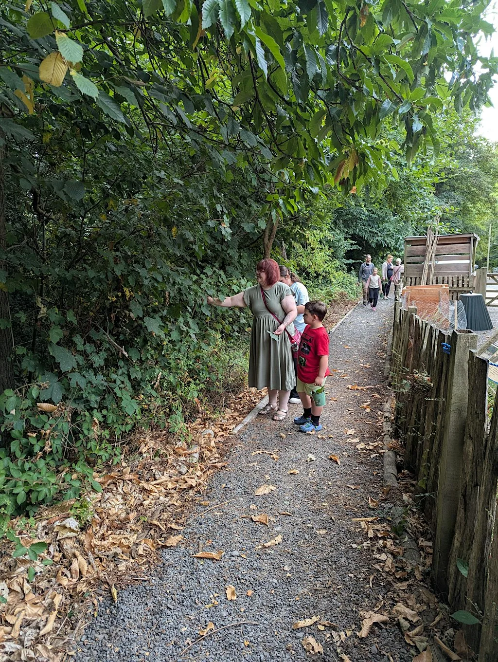 Woodland Art Workshop (for Juniors!) at Severn Gorge Countryside Trust