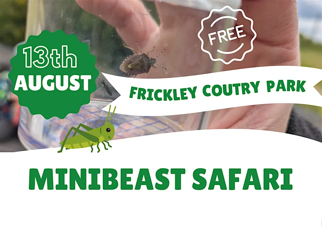 Minibeast Safari at Frickley Country Park Car Park (Doncaster Road)