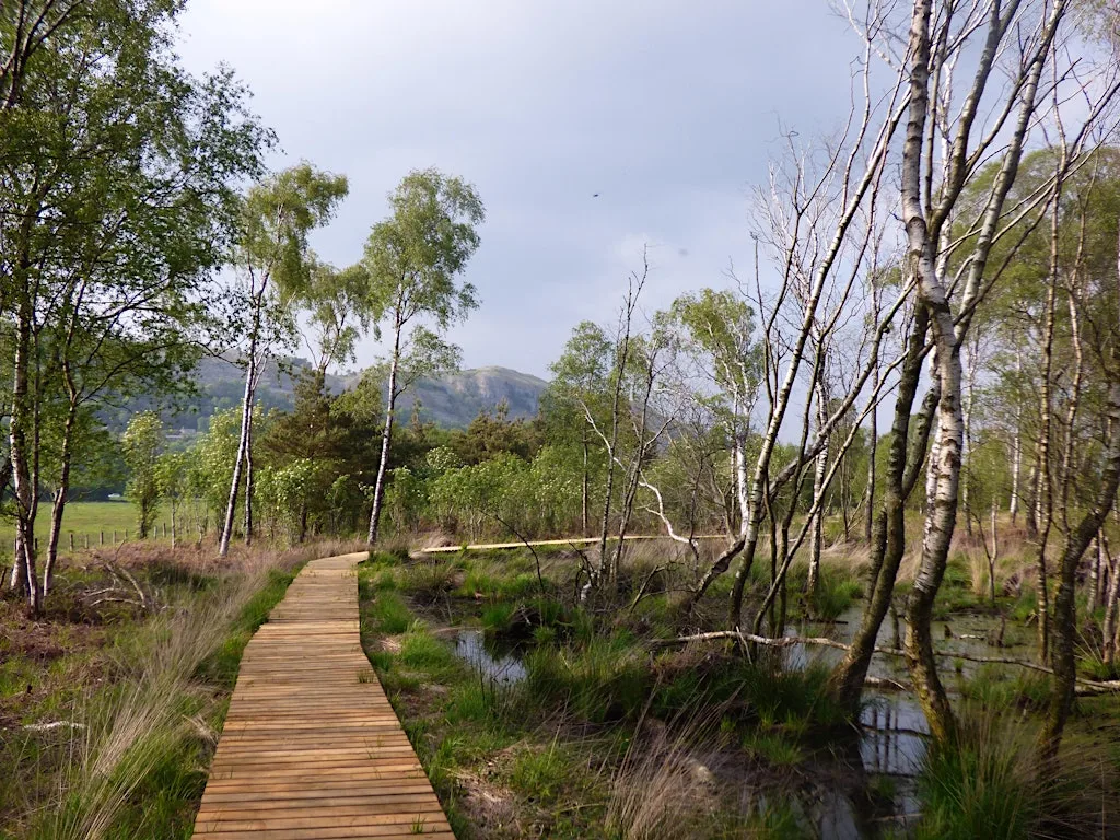 Conservation day at Foulshaw Moss Nature Reserve
