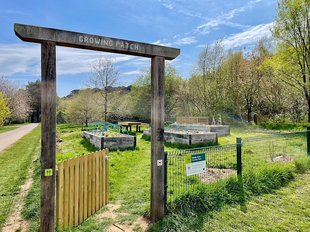 GreenFingers - Community Growing at Slades Farm at Slades farm