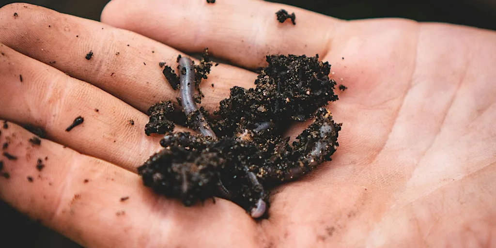 Family Friendly Wormery & Composting workshop at Oxford City Farm