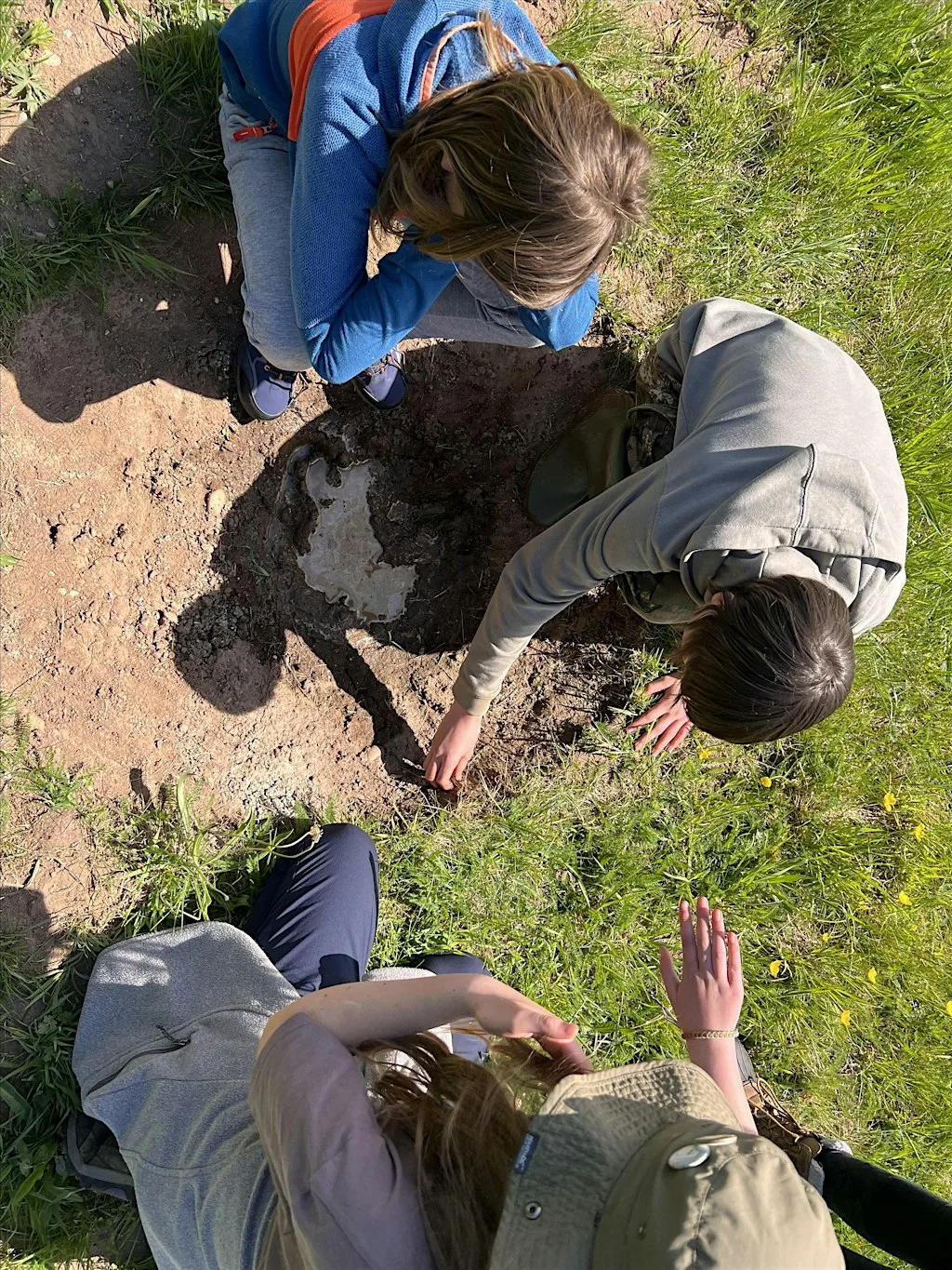 Teen Volunteer Session at Shining Cliff Woods