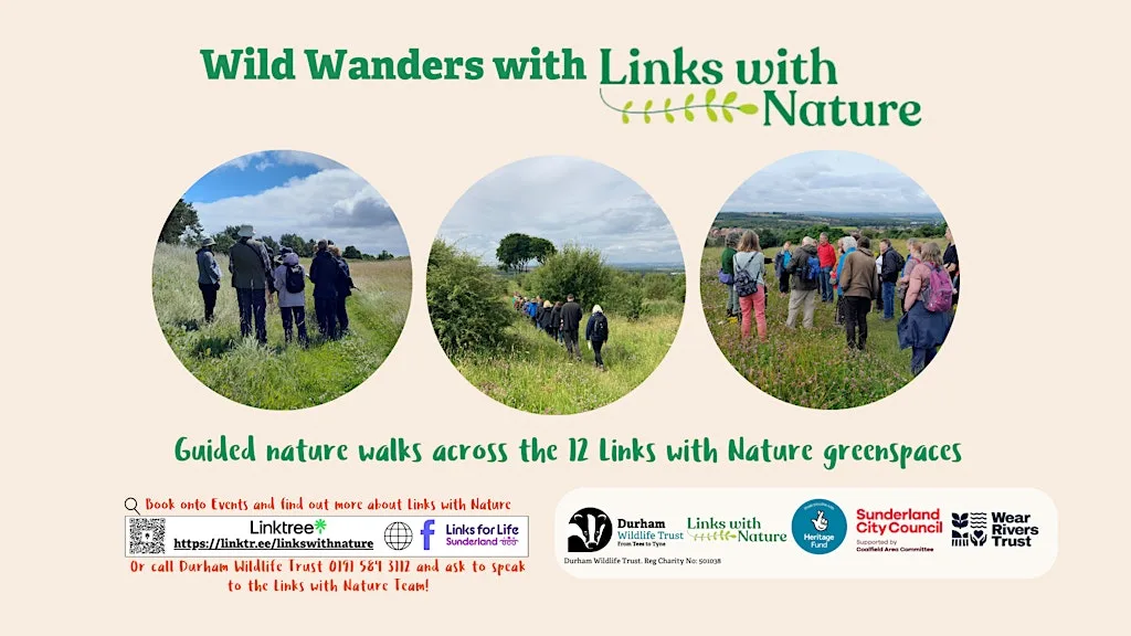 Wild Wanders: Things with Wings at Hetton Park and Bogs at The Hetton Centre Welfare Road Hetton-le-Hole