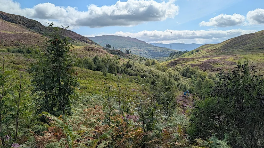 The Good, The Bad and The Ugly - Willie McGhee at Dun Coillich