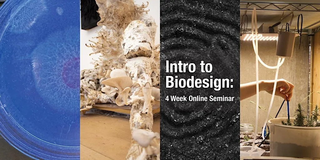 Intro to Biodesign ONLINE - September