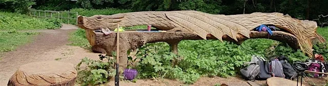 Sunday Volunteering - Sunday 9th August 10-11:30am St Anne's Woods at St Anne's Woods