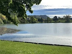WIM UK: A One-day Gathering for Sober Women at Stirling Court Hotel