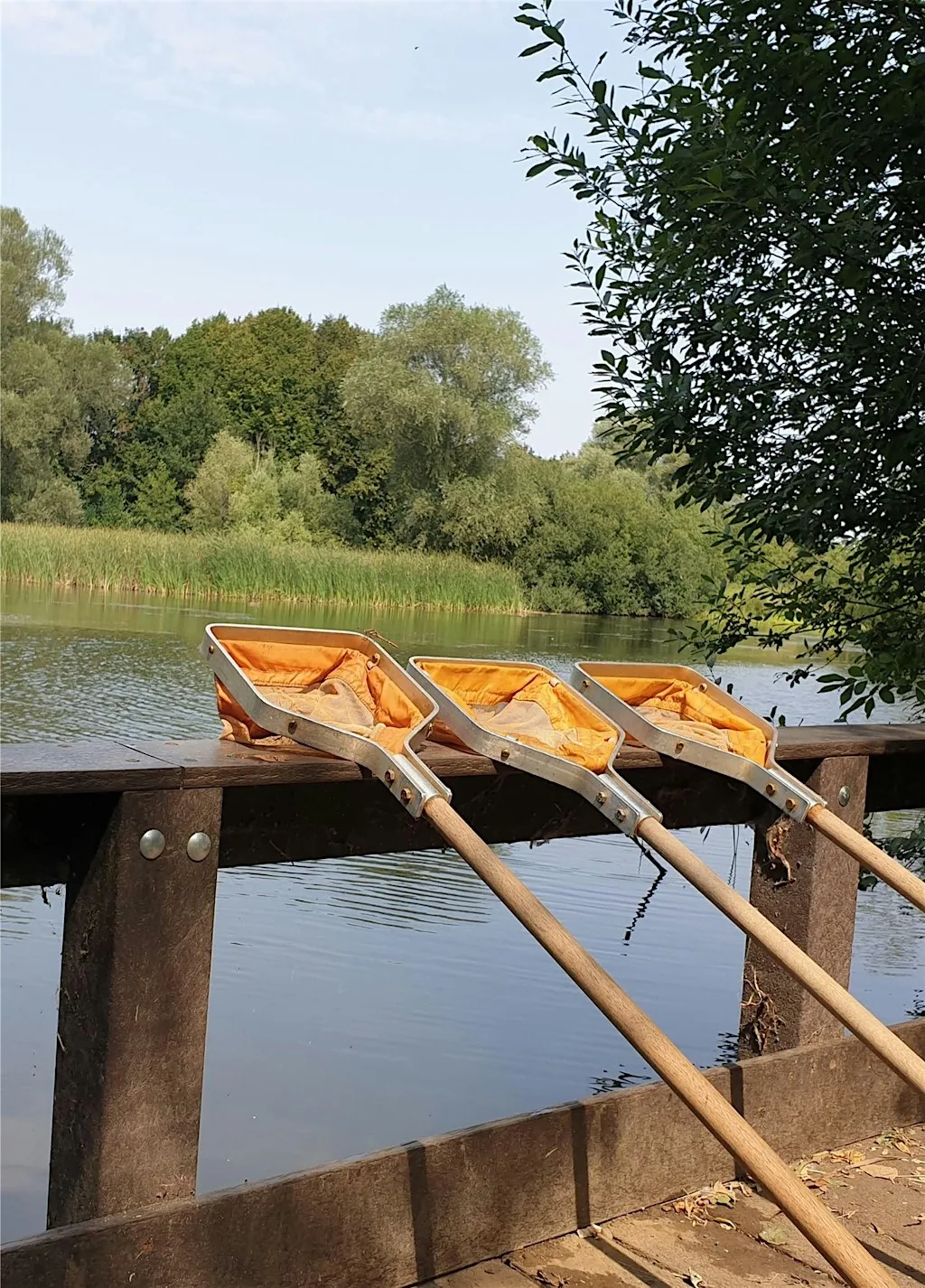 Pond Dipping at Barnwell Country Park at Barnwell Country Park