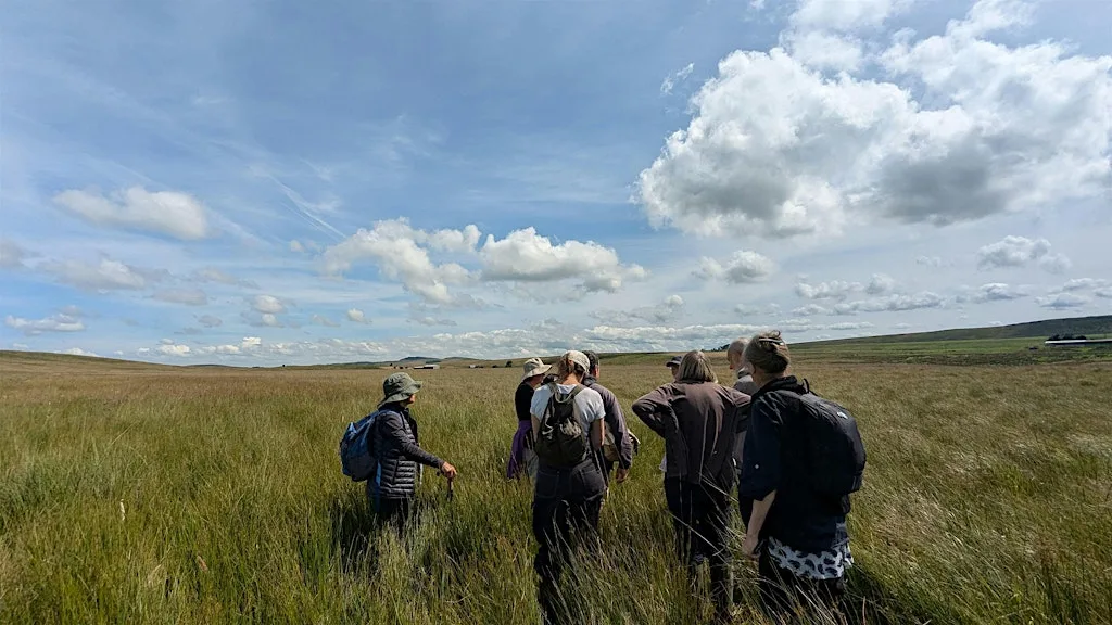 Great North Bog Day 2026 at Moss Peteral Farm