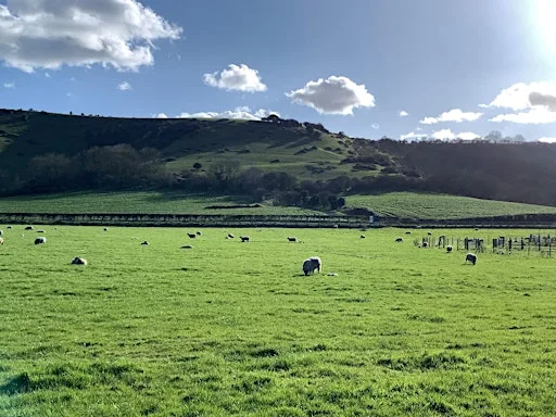 The Work of Wholeness in Fragmented Times - Link Centre Conference at AgriFood Centre