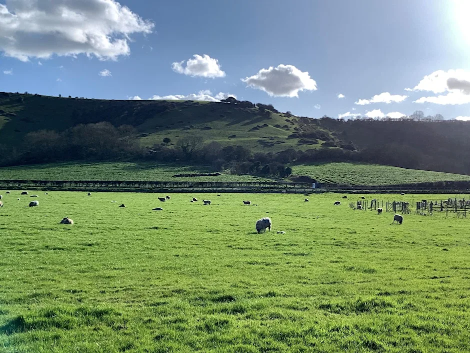 The Work of Wholeness in Fragmented Times - Link Centre Conference at AgriFood Centre