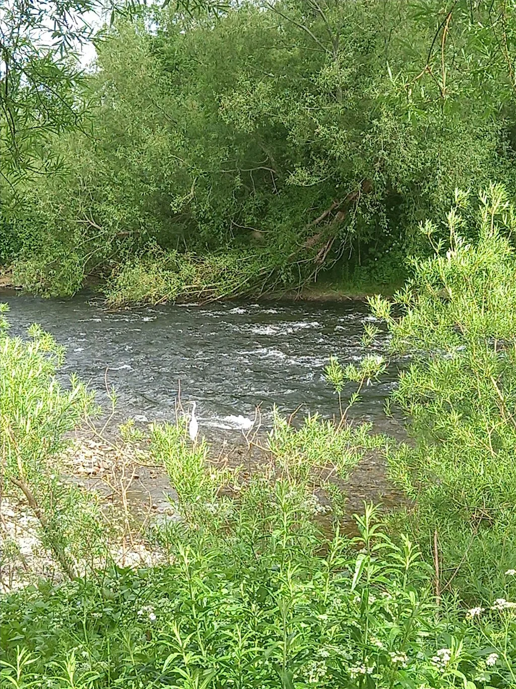 Wellbeing Walk: City Escape at Botcherby Community Centre