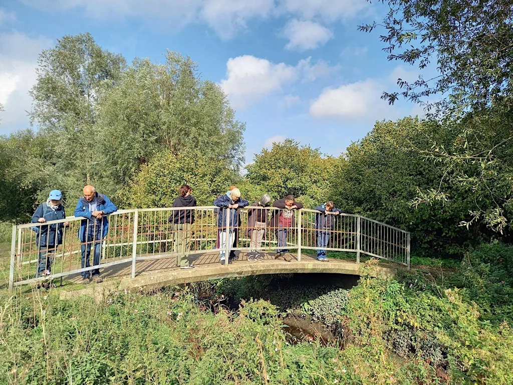 A Walk in the Park - Stockingstone Meadow and River Lea at Wardown House, Museum and Gallery