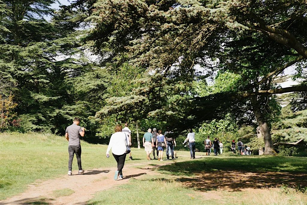 Netwalking: Devil's Dyke and Brighton's lost railway at Dyke Railway Trail Car Park