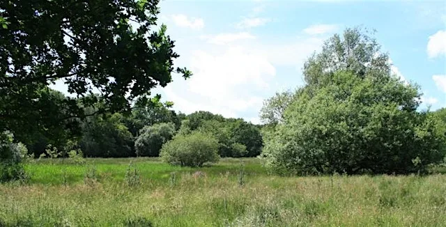 Wildern Local Nature Reserve at Drummond Community Centre
