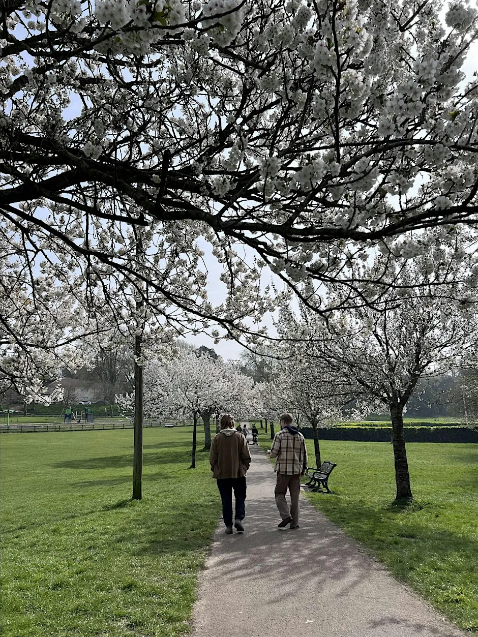 Community Mindful Walk in Hove Park, Brighton at Hove Park - Brighton & Hove
