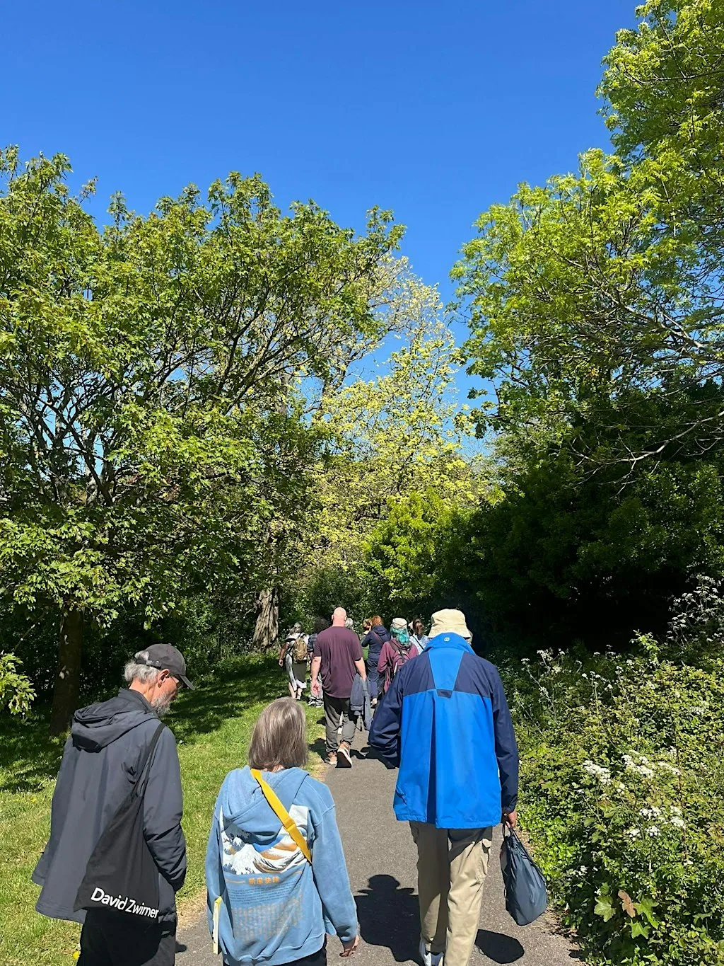 Community Mindful Walk in Queens Park, Brighton