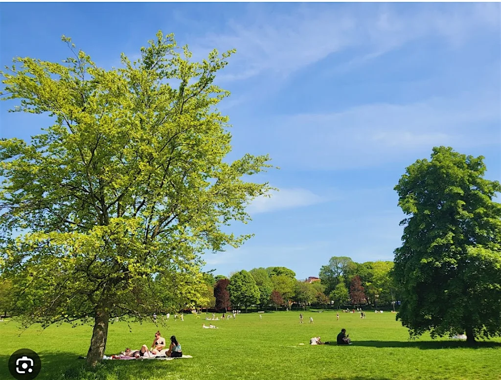 Community Mindful Walk in Preston Park, Brighton at Brighton