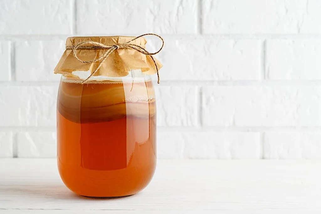 Fermentation Club @ Bacareto - Deep Dive KOMBUCHA at Bacareto