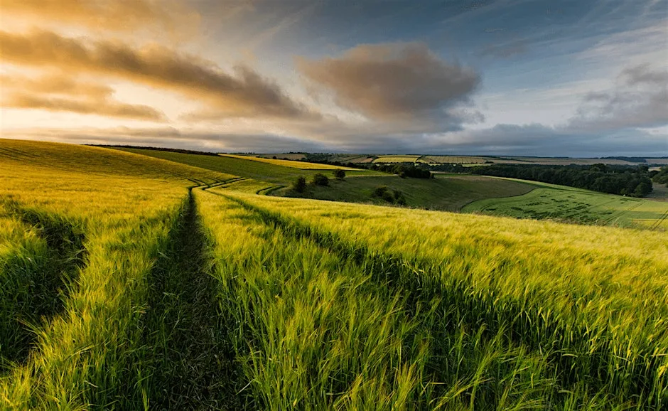 Lincoln Hike Club - LHC BIG HIKE 8- Nettleton & Wolds Circular 4.0 at The Blacksmith’s Arms