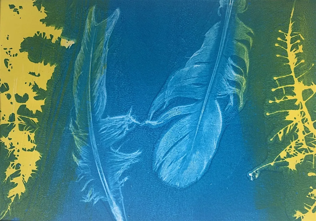 Print with nature at Crumlin Road Gaol Visitor Attraction and Conference Centre