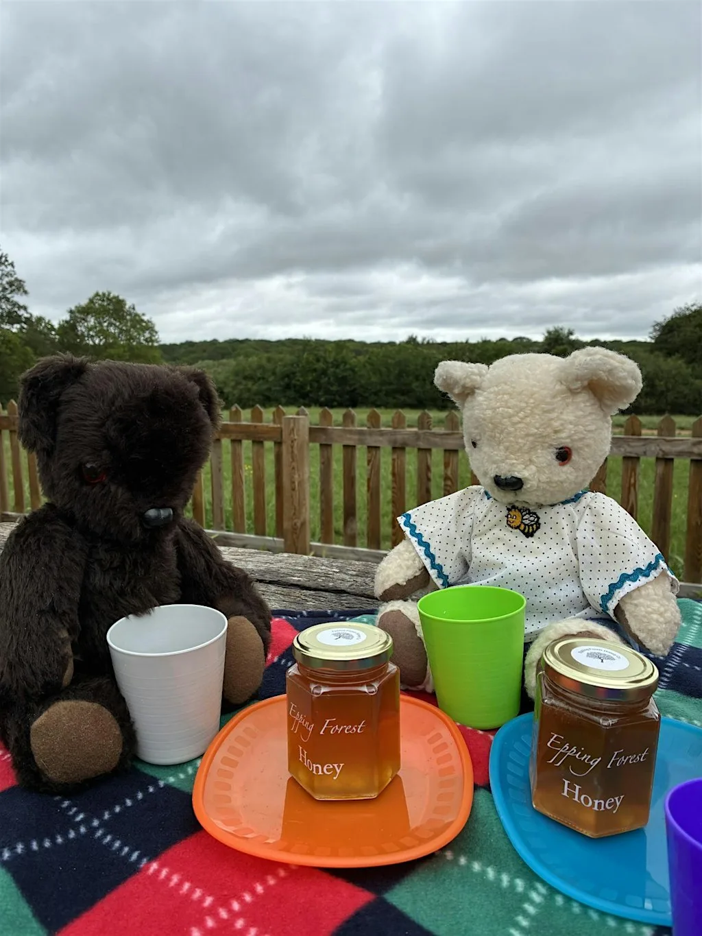 Teddy Bear’s Picnic at Epping Forest at Epping Forest Visitor Centre at Chingford