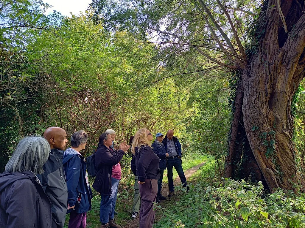 A Walk in the Park - Stockwood Park