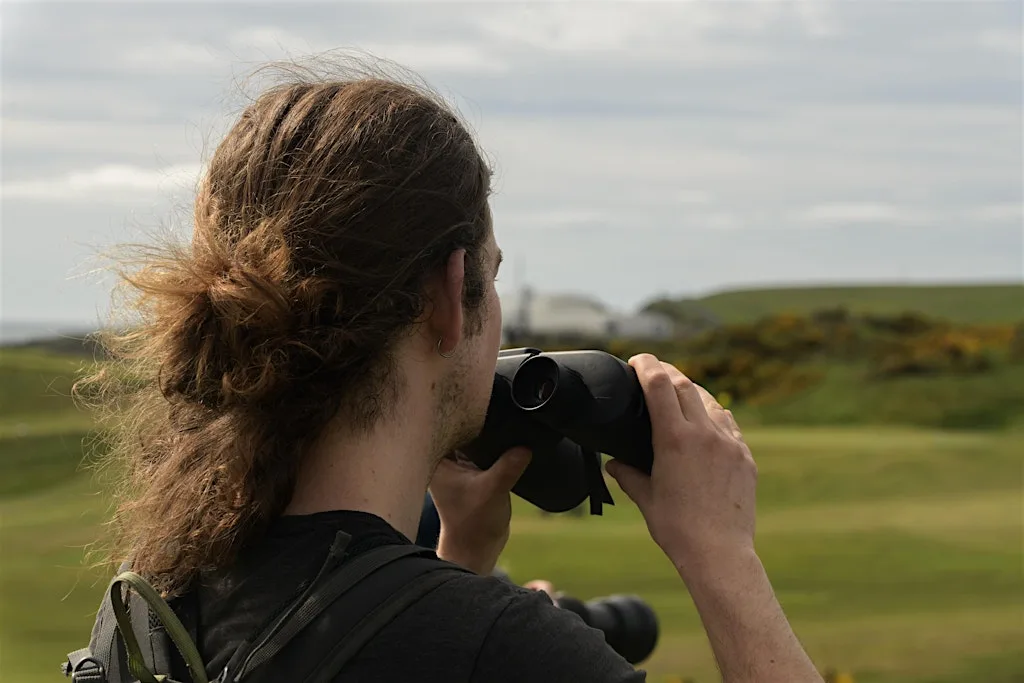 July Bird Survey (beginners welcome)