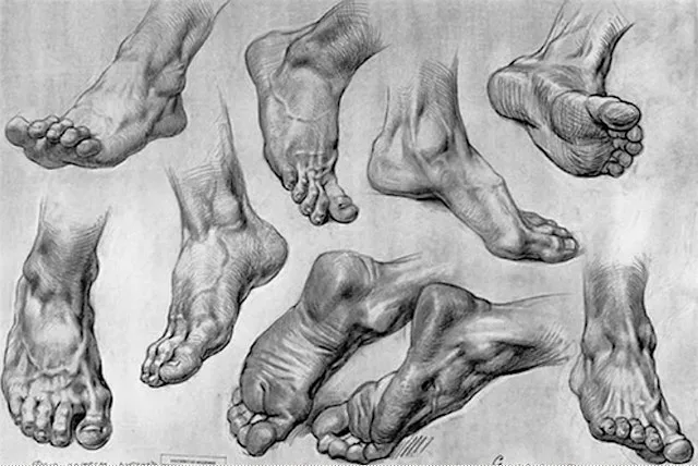 Lets learn how to draw feet. at Park View