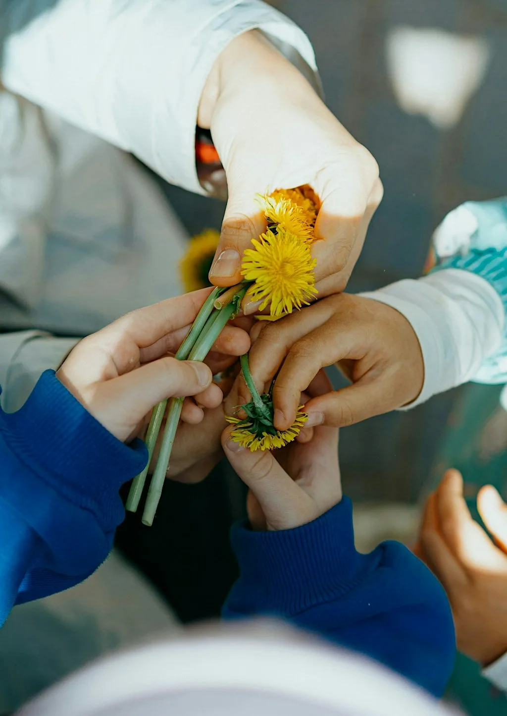 Nature Club at Caol's Green Library at Caol Library
