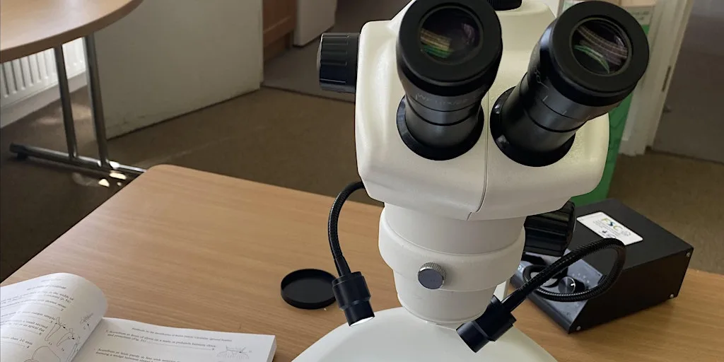 London Lichen Group meeting: Laboratory session at Natural History Museum at Natural History Museum