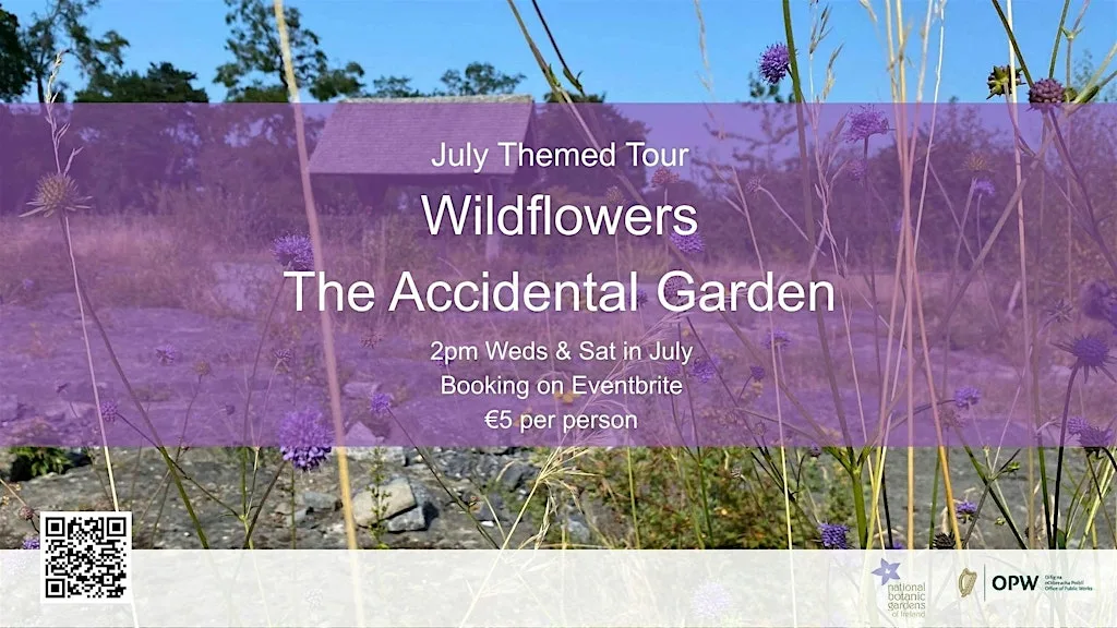 Wildflowers: The Accidental Garden at National Botanic Gardens of Ireland