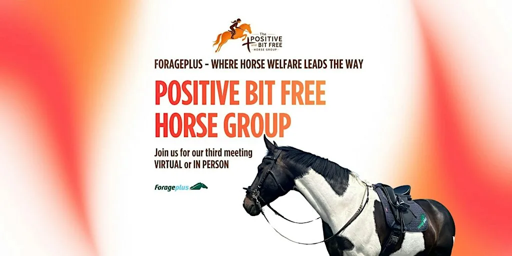 Positive and Bit Free Horse Training Group - Third Meeting