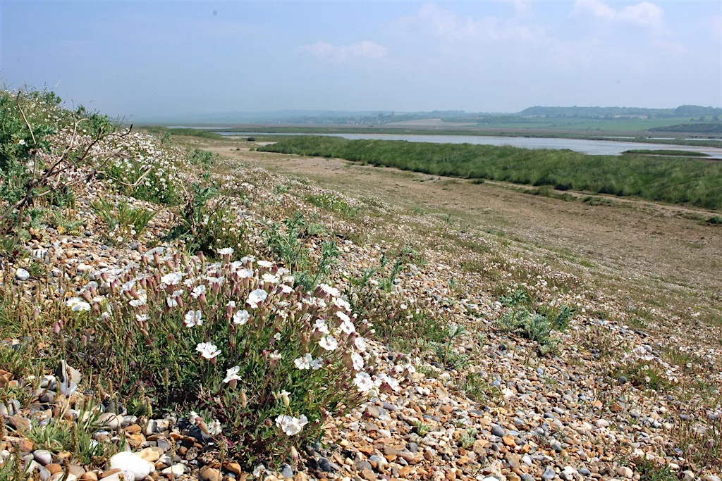 Leg-stretch to Salthouse (7 October) at Cley Marshes Visitor Centre