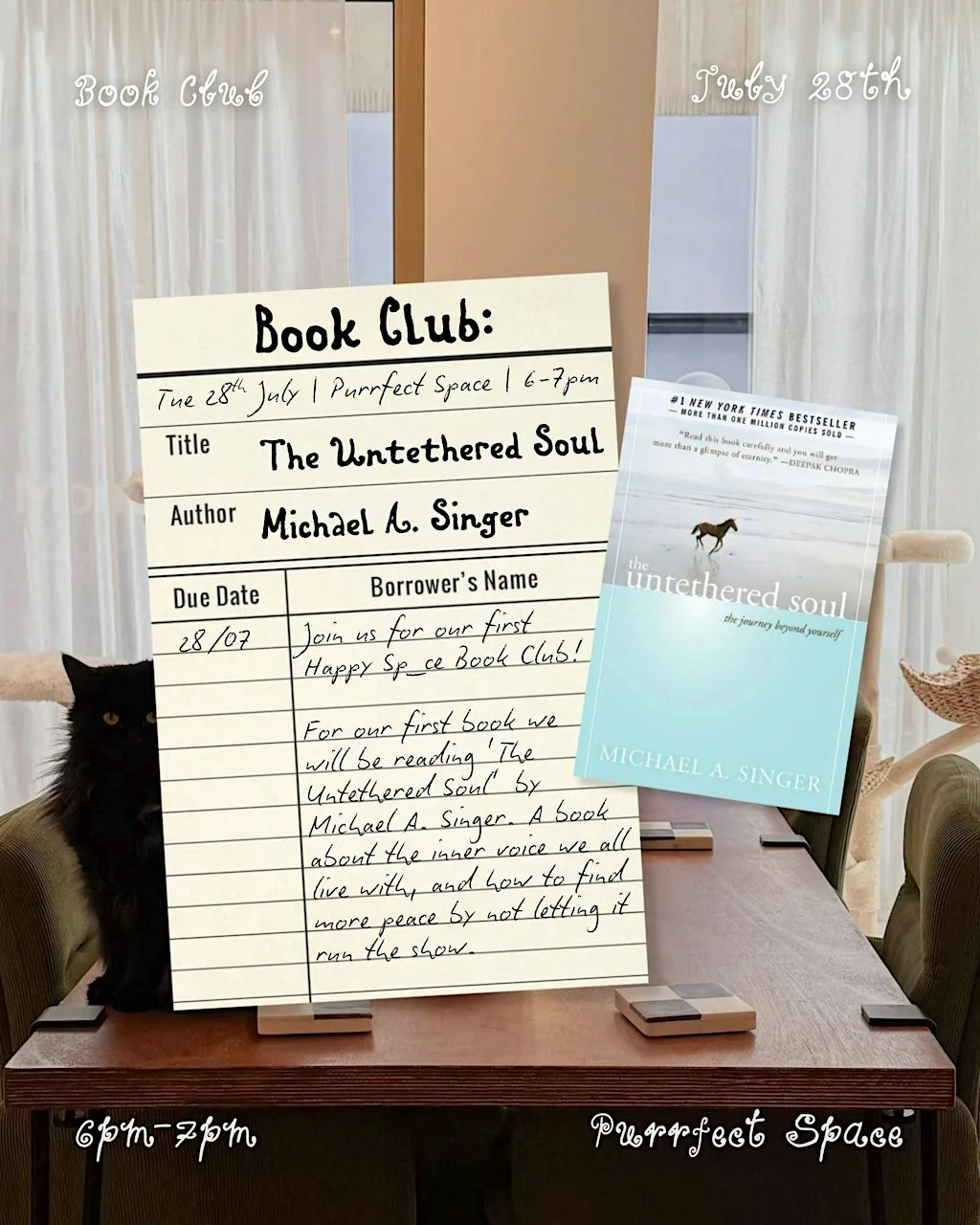 Book Club! at Purrfect Space
