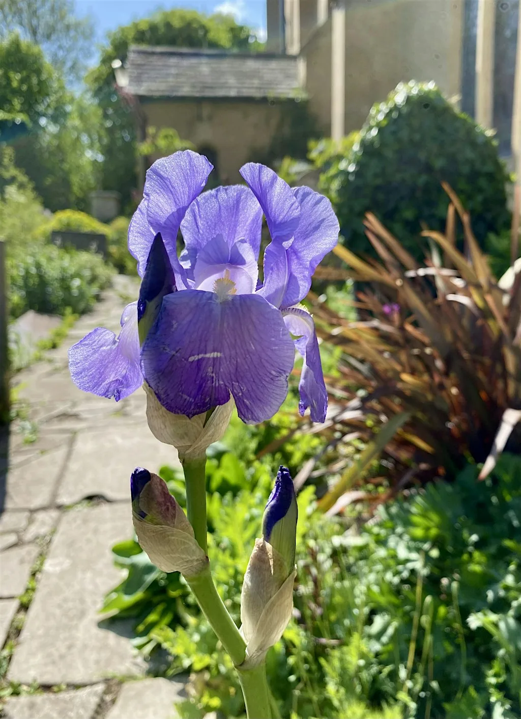 Head Gardener Tours of St Mary's Churchyard