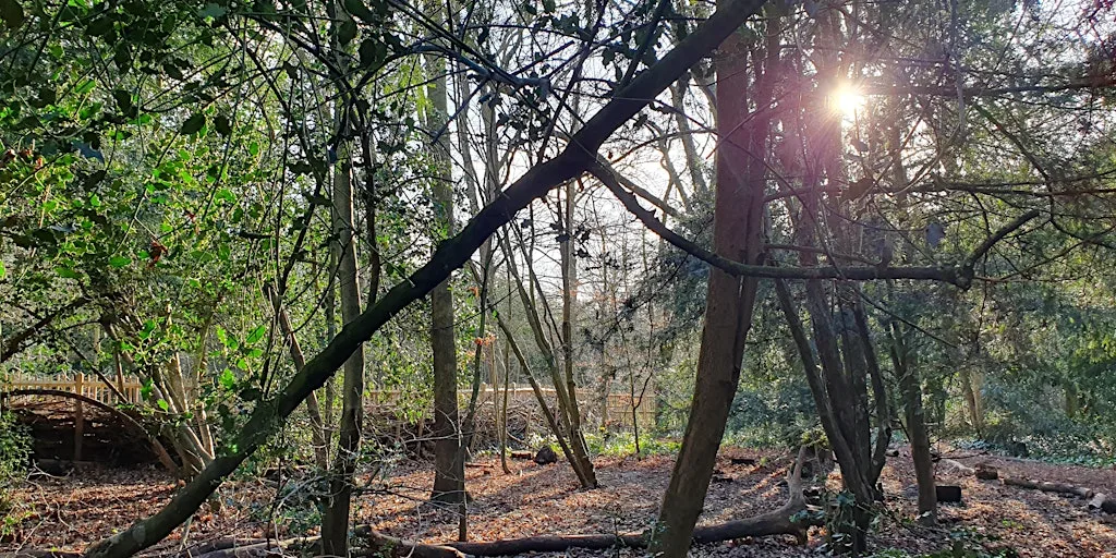Holland Park - Nature Wellbeing Series at Holland Park Ecology Centre