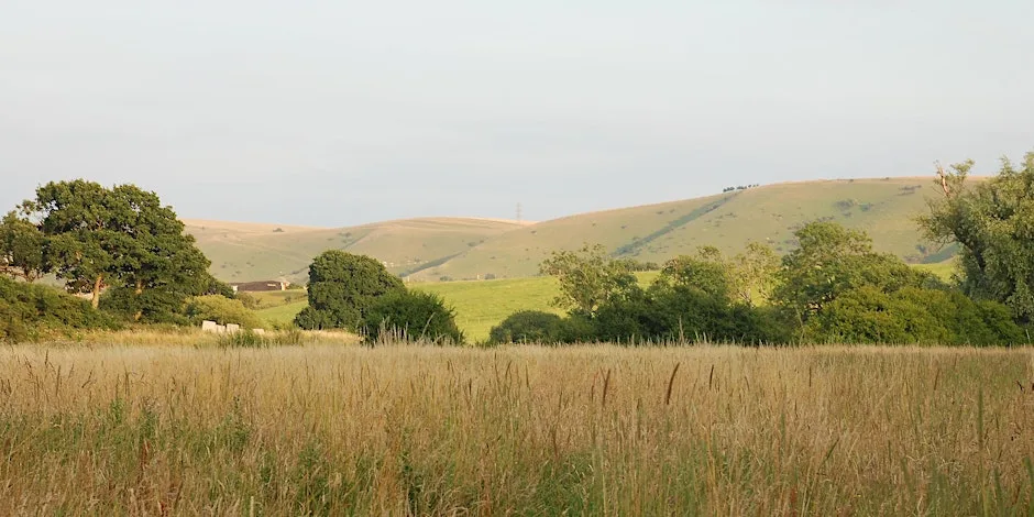 Depicting Landscape in Art – Early Autumn Colour, Henfield (100337035) at Woods Mill