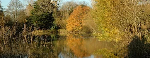 Depicting Landscape in Art – Going into Autumn, Henfield (100337035) at Woods Mill