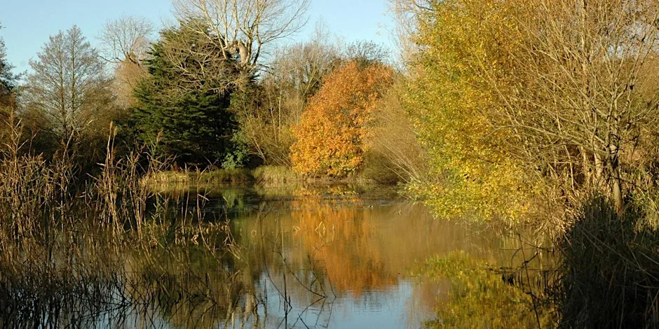 Depicting Landscape in Art – Going into Autumn, Henfield (100337035) at Woods Mill